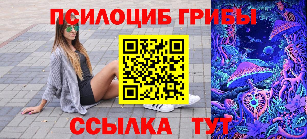 Псилоцибиновые грибы Psilocybine cubensis Новокуйбышевск